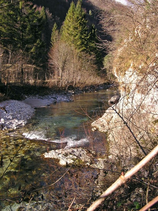 Slovenia Fly Fishing
