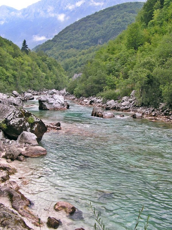 Slovenia Fly Fishing