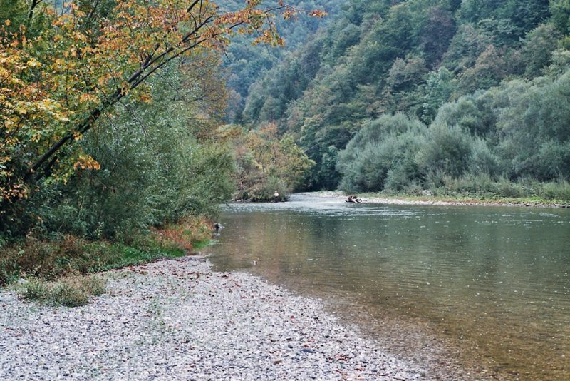 LEAD Technologies Inc. V1.01