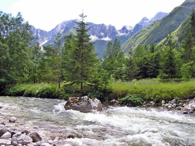 Slovenia Fly Fishing