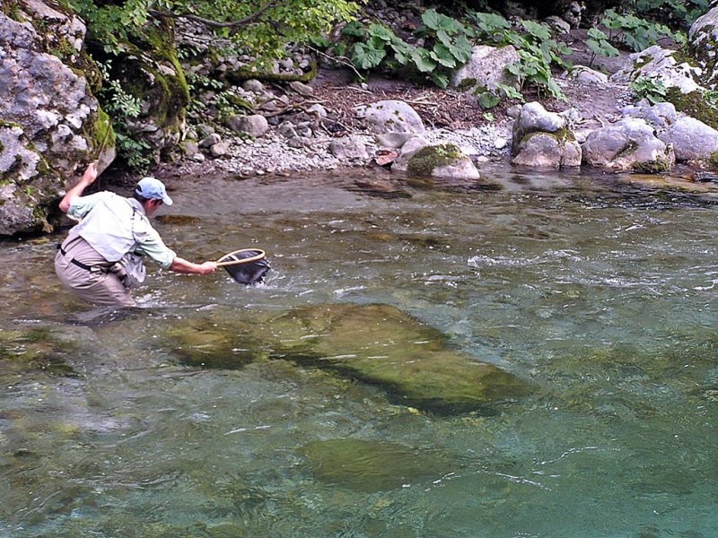 Slovenia Fly Fishing