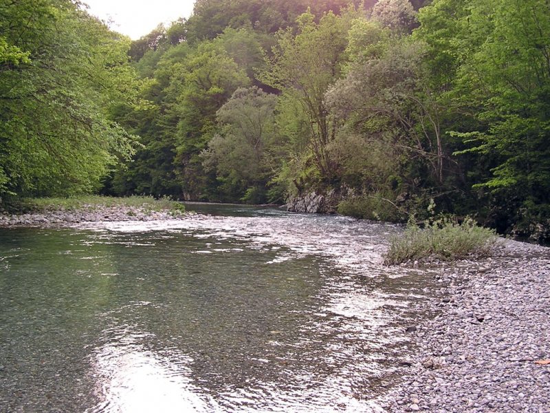 Slovenia Fly Fishing