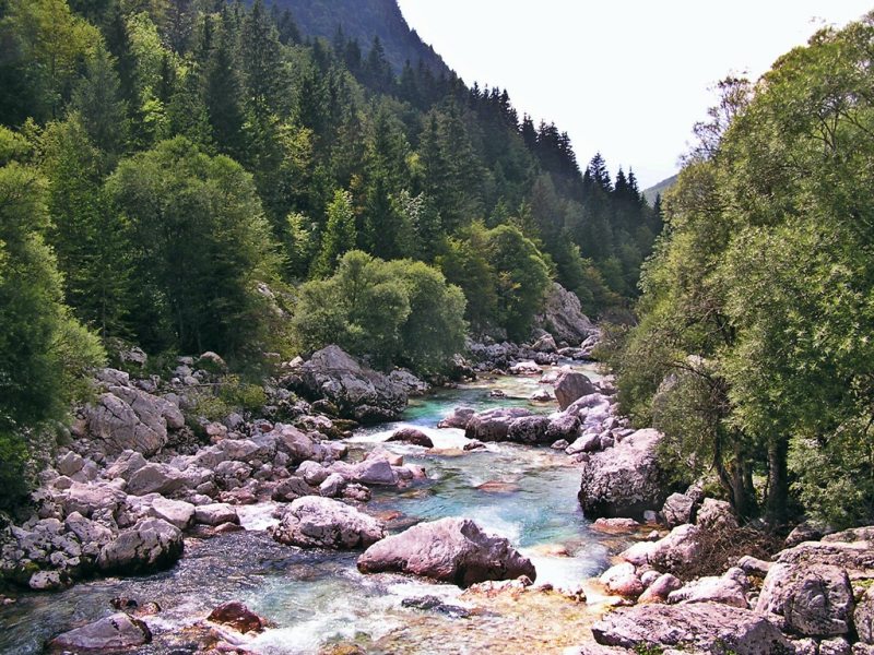 Slovenia Fly Fishing
