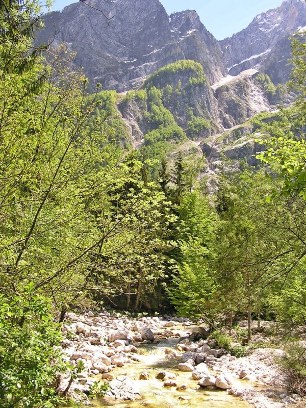 Slovenia Fly Fishing