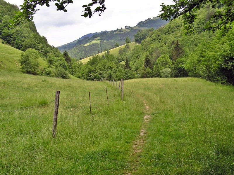 Slovenia Fly Fishing