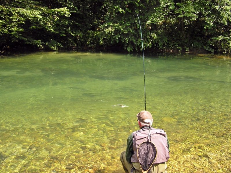 Slovenia Fly Fishing
