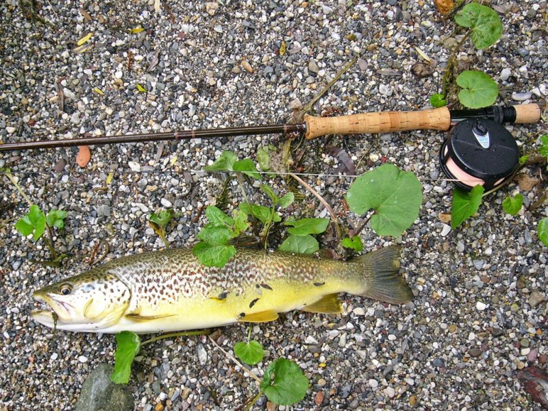 Slovenia Fly Fishing