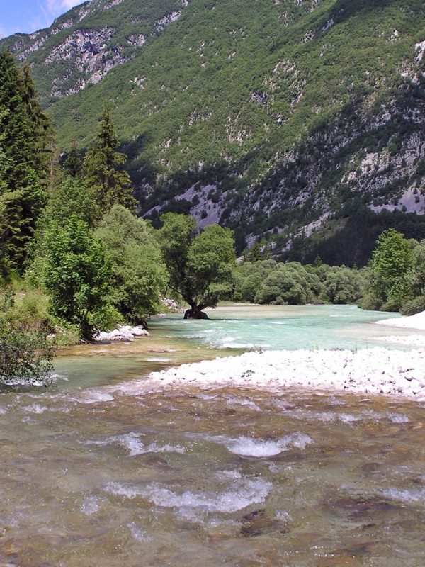 Slovenia Fly Fishing