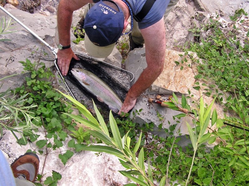 Slovenia Fly Fishing