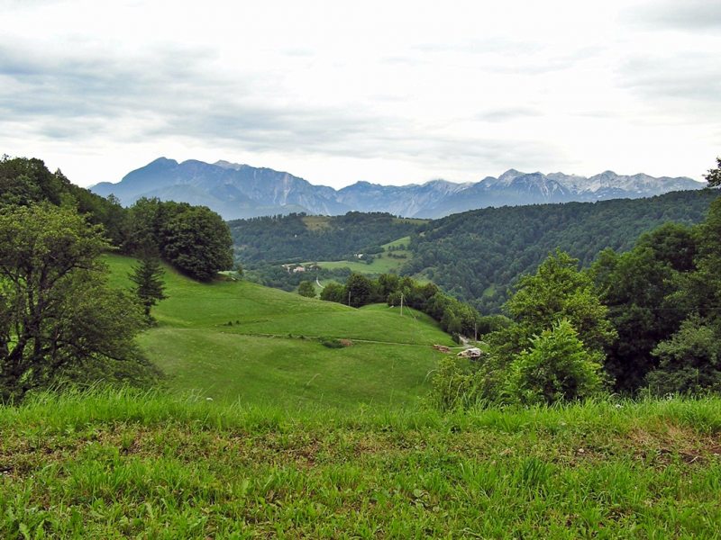 Slovenia Fly Fishing