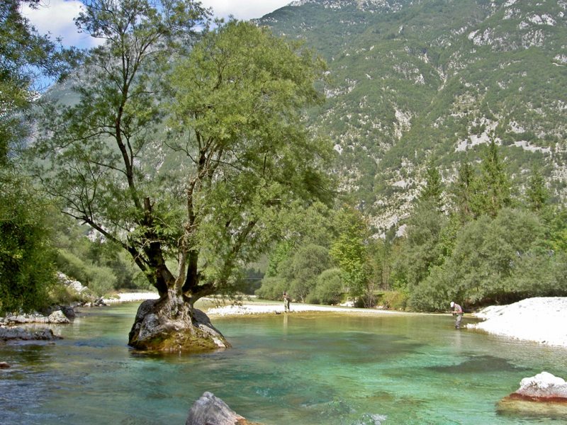 Slovenia Fly Fishing