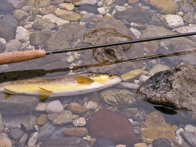 Slovenia Fly Fishing