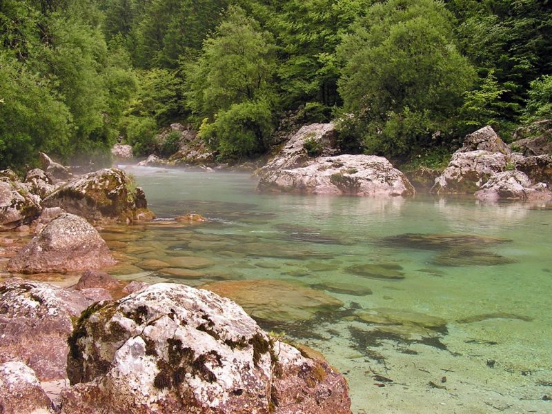 Slovenia Fly Fishing