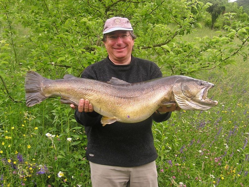 Slovenia Fly Fishing