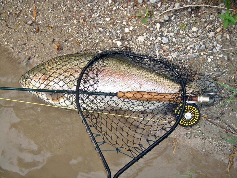 Slovenia Fly Fishing