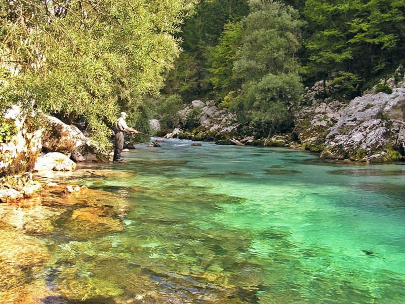 Slovenia Fly Fishing