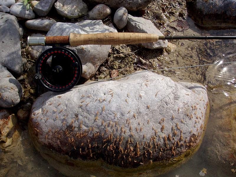 Slovenia Fly Fishing