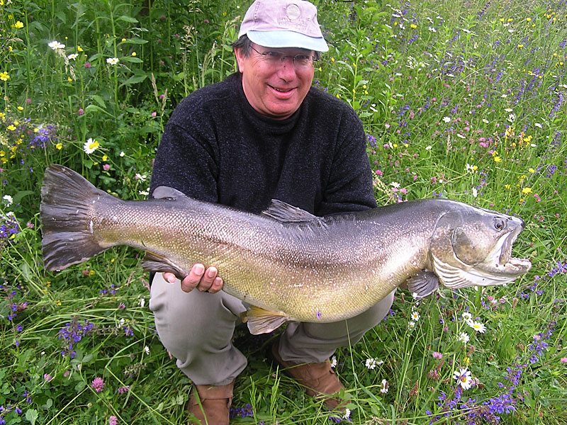 Slovenia Fly Fishing