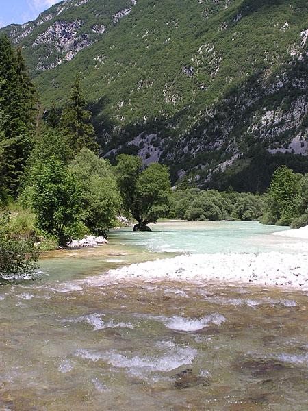 Slovenia Fly Fishing