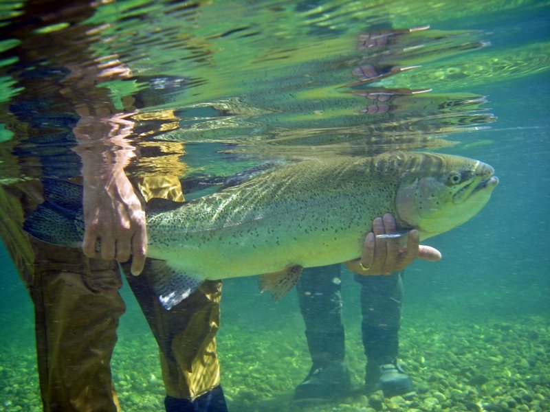 Slovenia Fly Fishing