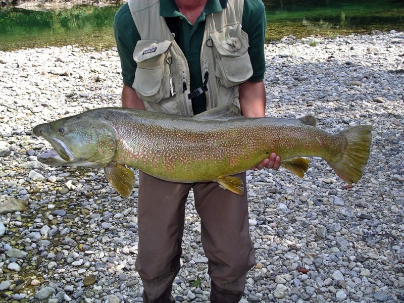 Slovenia Fly Fishing