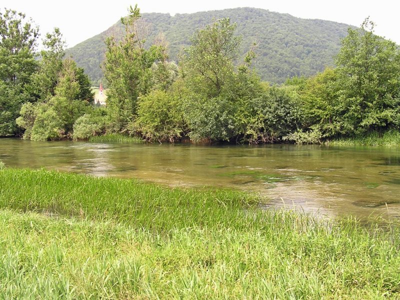 Slovenia Fly Fishing