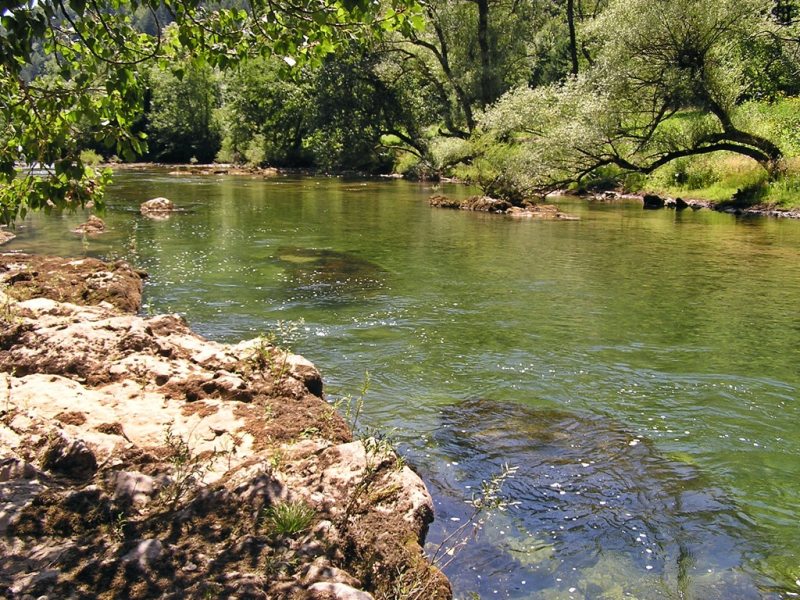 Slovenia Fly Fishing