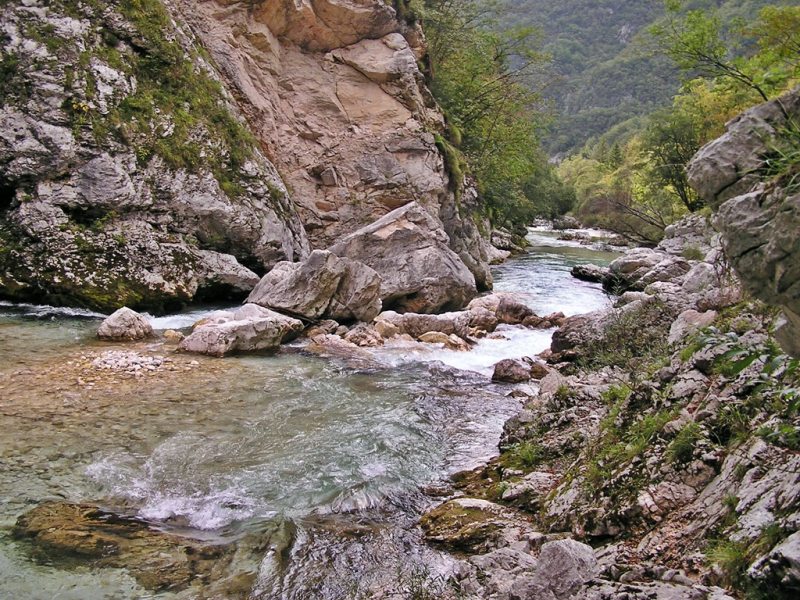 Slovenia Fly Fishing