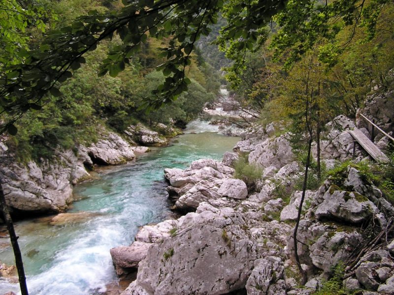 Slovenia Fly Fishing