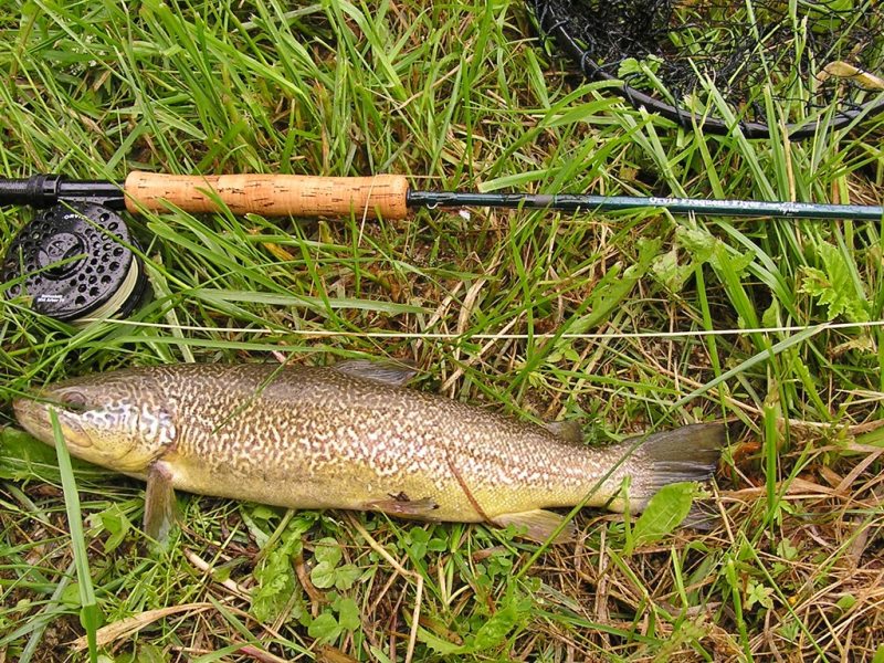 Slovenia Fly Fishing