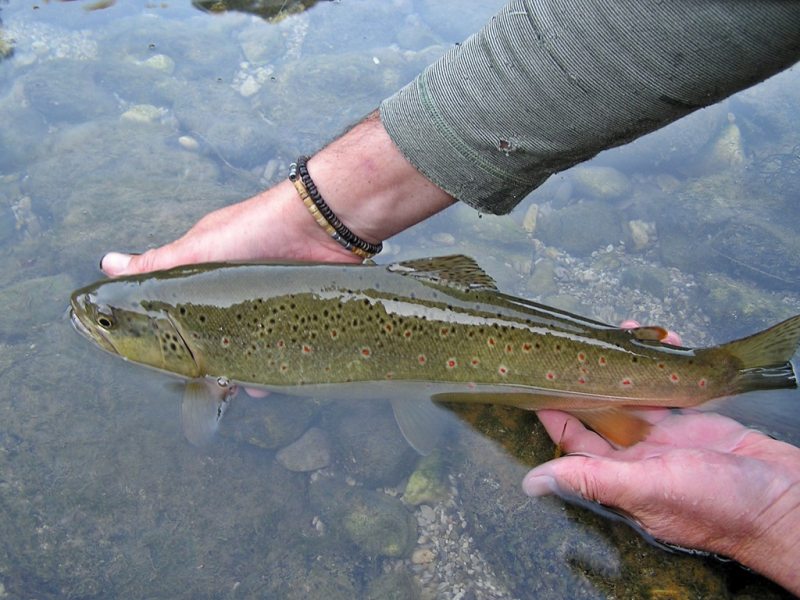 Slovenia Fly Fishing