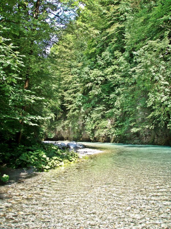 Slovenia Fly Fishing