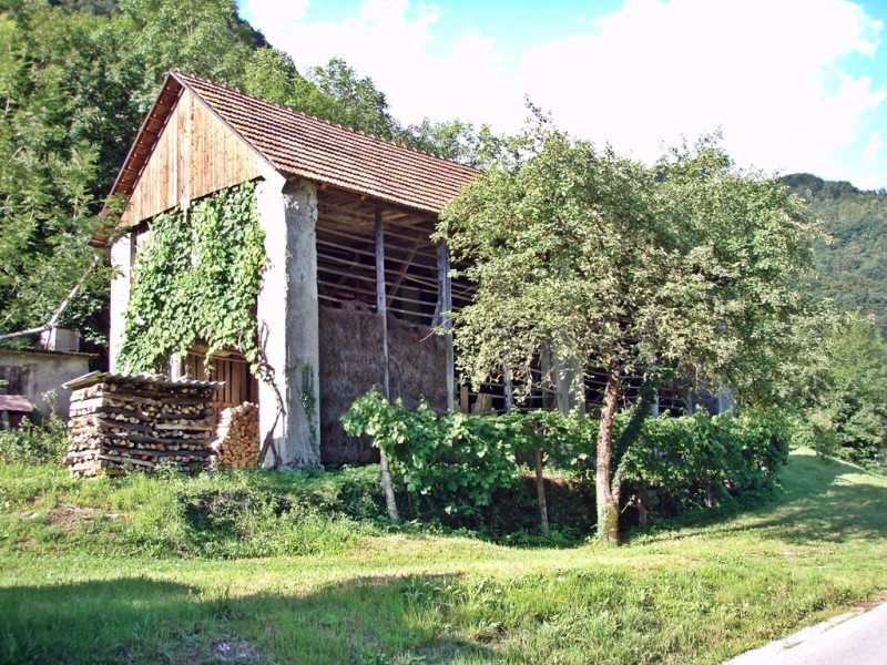 Slovenia Fly Fishing