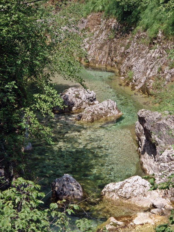 Slovenia Fly Fishing