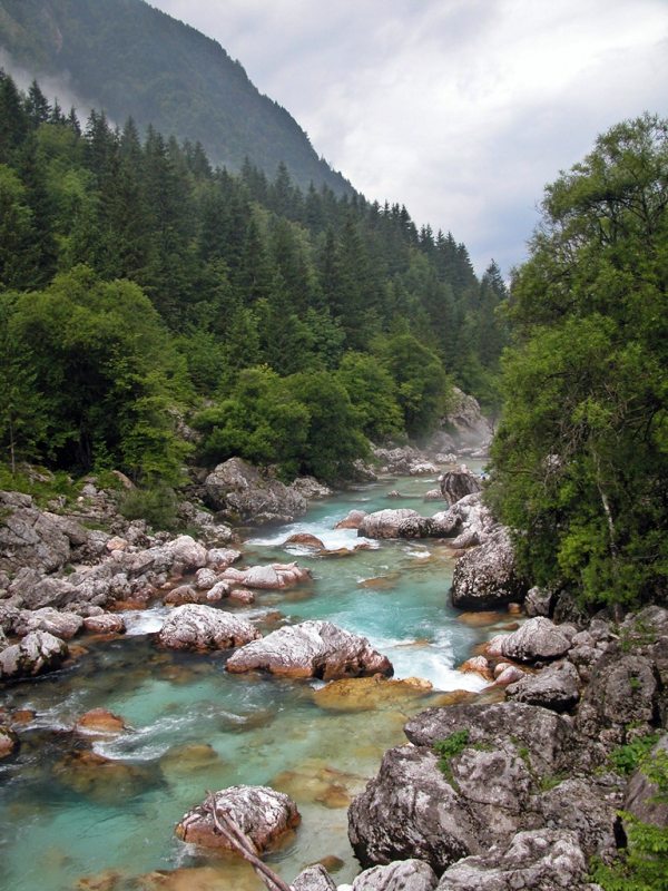 Slovenia Fly Fishing