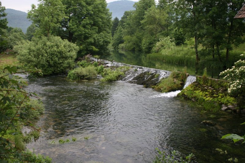 Slovenia Fly Fishing