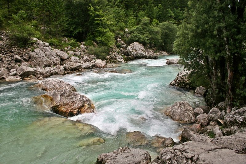 Slovenia Fly Fishing