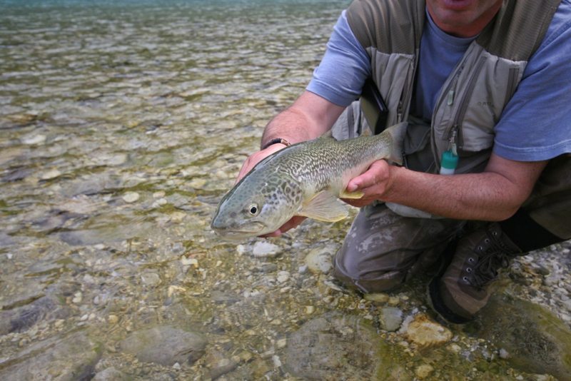Slovenia Fly Fishing