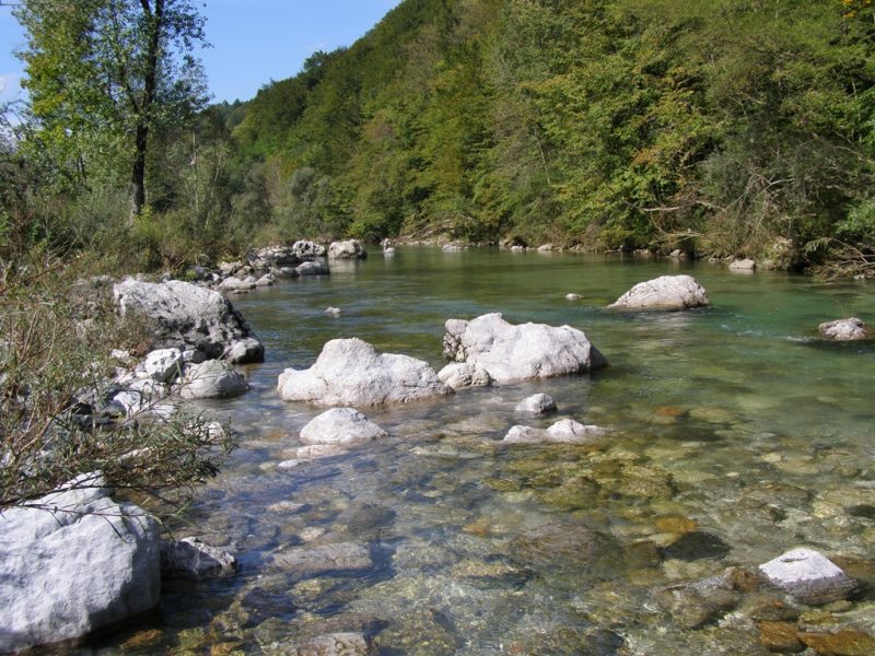 Slovenia Fly Fishing