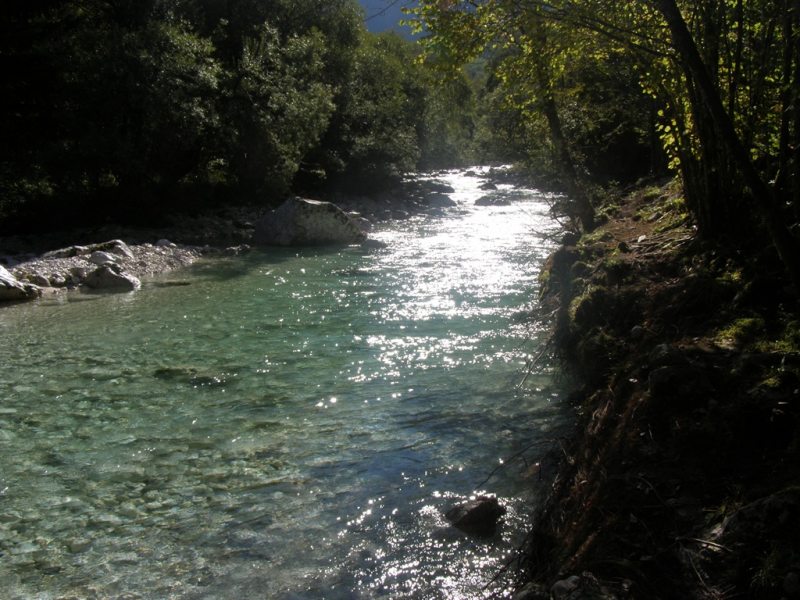 Slovenia Fly Fishing