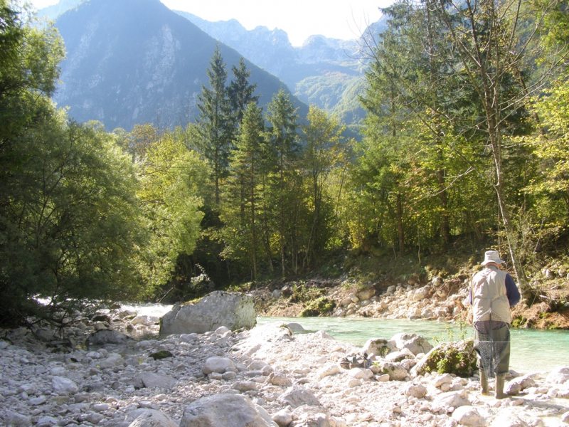 Slovenia Fly Fishing