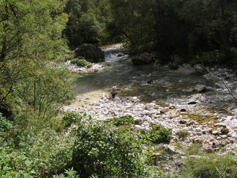 Slovenia Fly Fishing