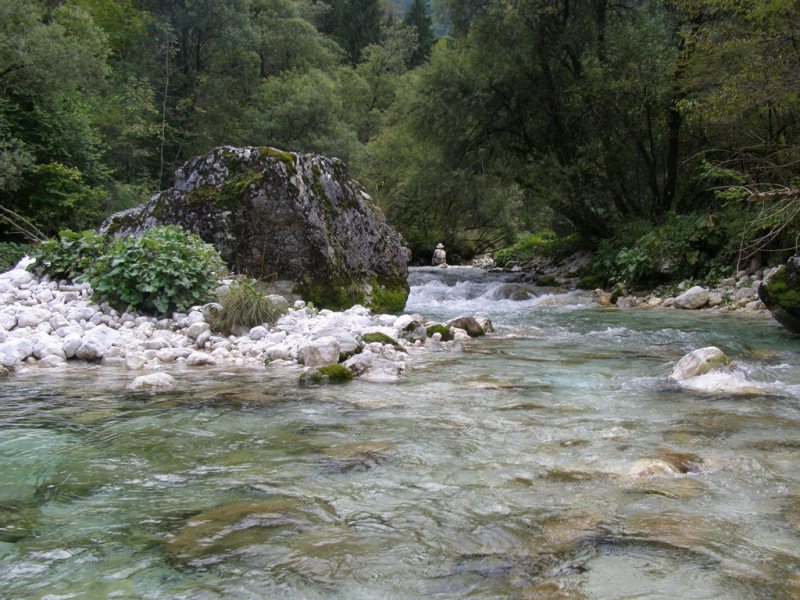 Slovenia Fly Fishing