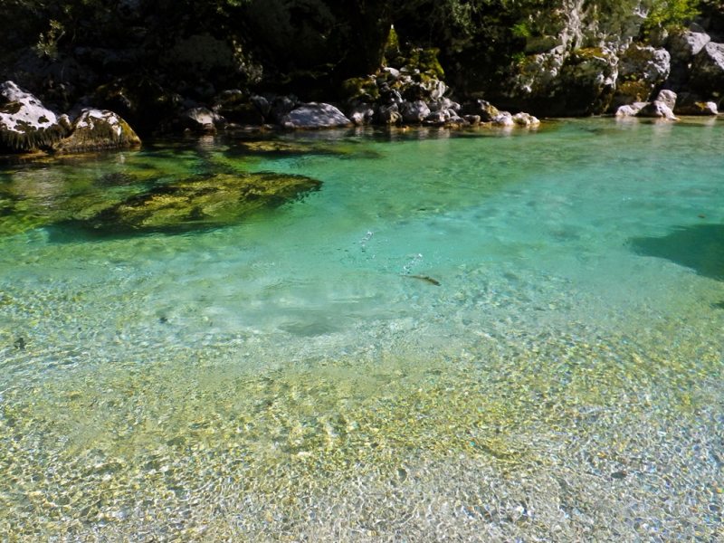 Slovenia Fly Fishing