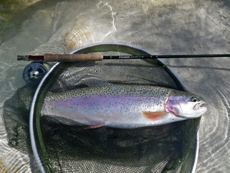 Slovenia Fly Fishing