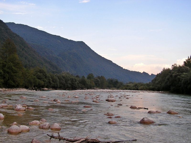 Slovenia Fly Fishing