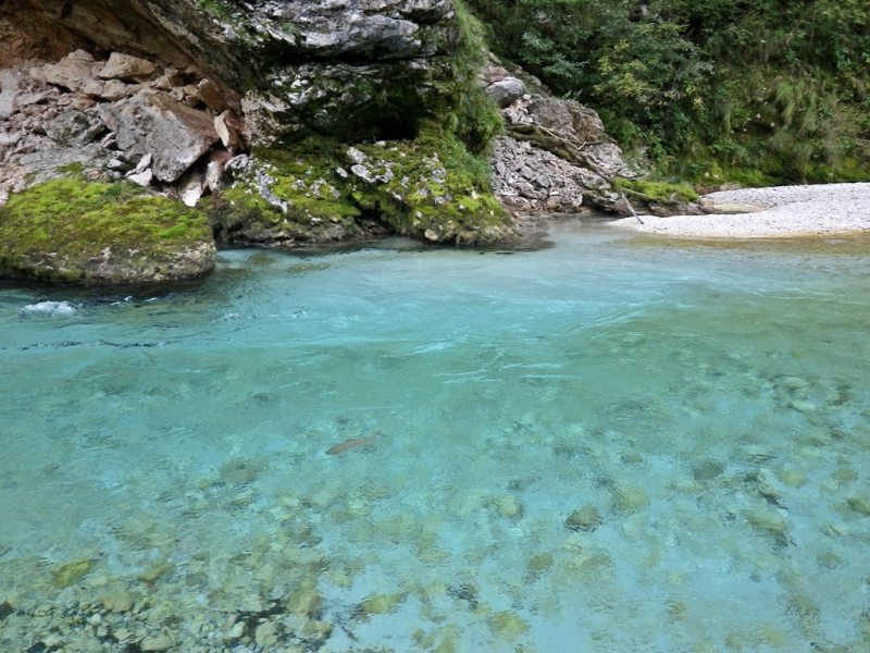 Slovenia Fly Fishing