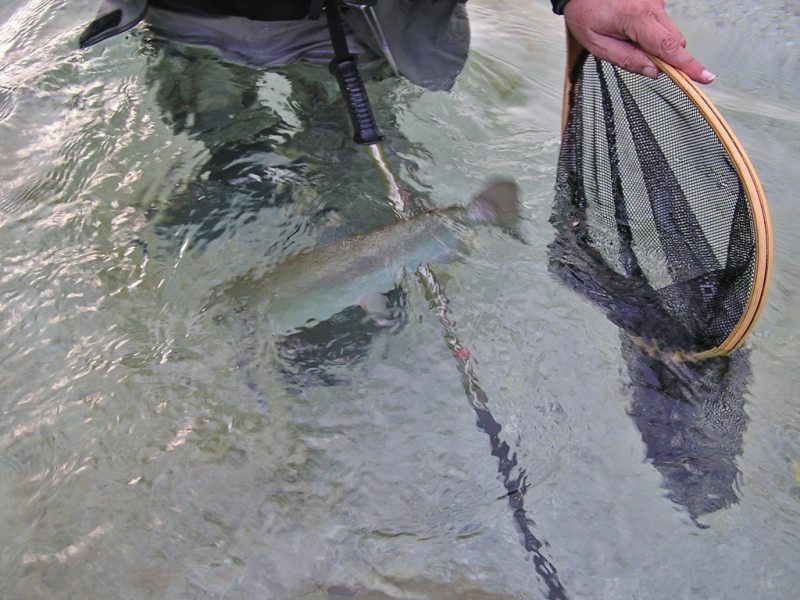 Slovenia Fly Fishing