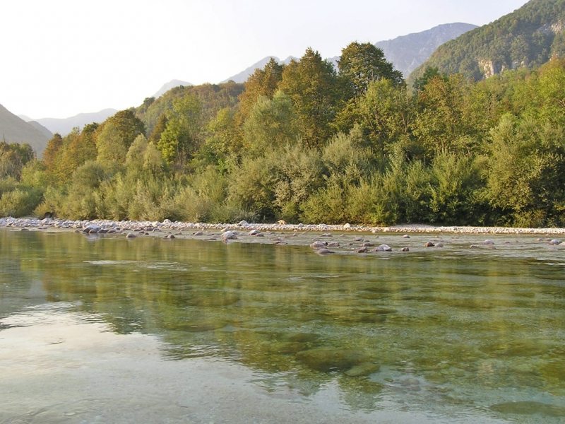 Slovenia Fly Fishing