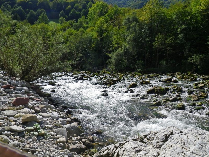 Slovenia Fly Fishing